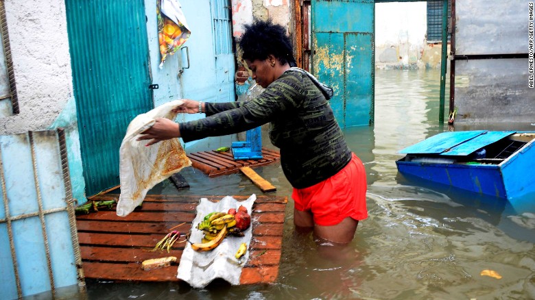 Woman saving fruits